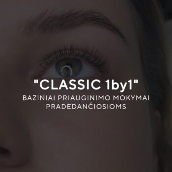 “CLASSIC 1by1” baziniai mokymai AVANSAS